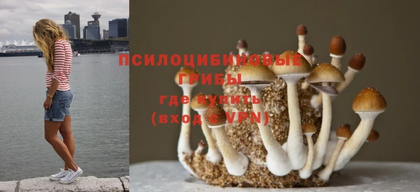 мет Алзамай