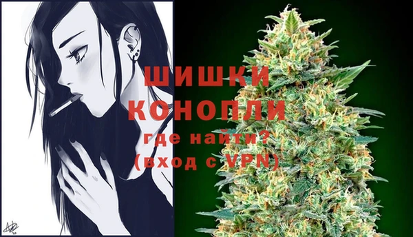 меф Дмитриев