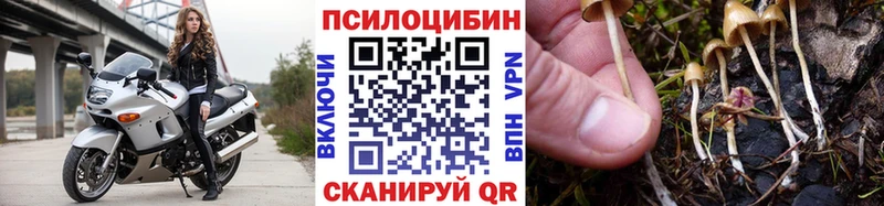 Псилоцибиновые грибы Psilocybe  shop состав  Хабаровск  гидра ССЫЛКА 